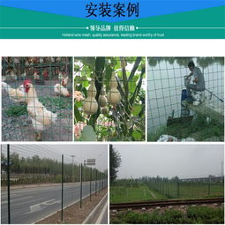 安平烨都丝网 四川散养鸡围网与荷兰网厂销精选指南
